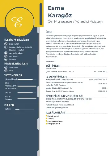 Yönetici Asistanı Cv Örnekleri cv indir